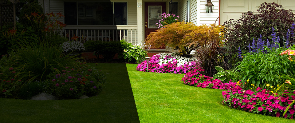 Westwood Landscapers